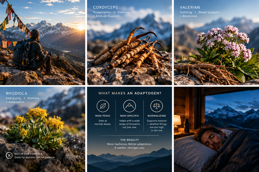Adaptogens and Altitude: The Ancient Stress Fighters in ALTISNOOZE